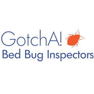 Bed Bug Logos